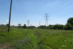 143rd Street Extension looking east from IL